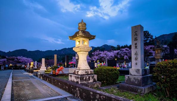 桜が咲く霊園 桜が咲く霊園の写真