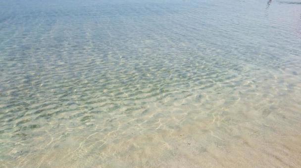 透き通る海辺 透き通る海辺の写真