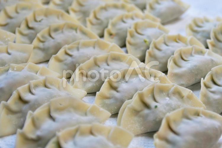 焼く前の手作り餃子 餃子,生餃子,手作り餃子の写真素材
