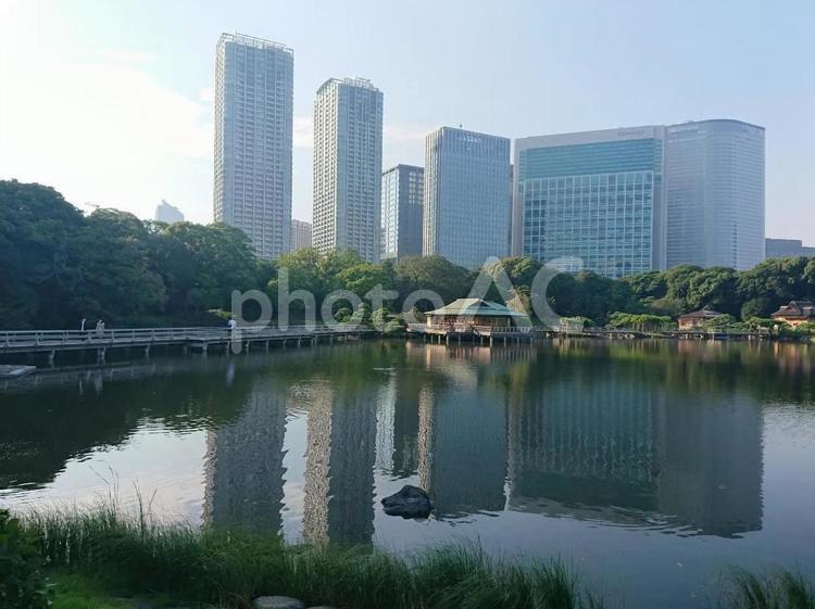 浜離宮 浜離宮恩賜公園,浜離宮,汐留の写真素材