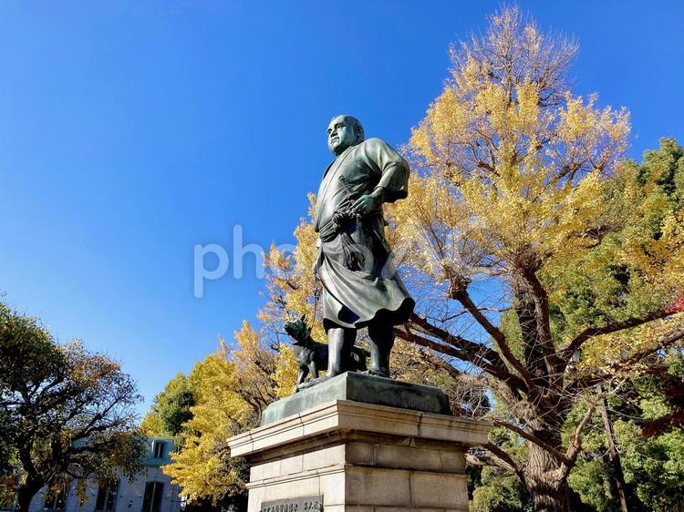 東京風景・上野公園 上野公園,上野恩賜公園,西郷隆盛像の写真素材