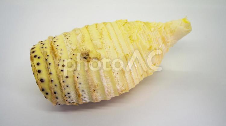 下処理済みのタケノコ 下処理済みのタケノコ タケノコ,筍,春の写真素材
