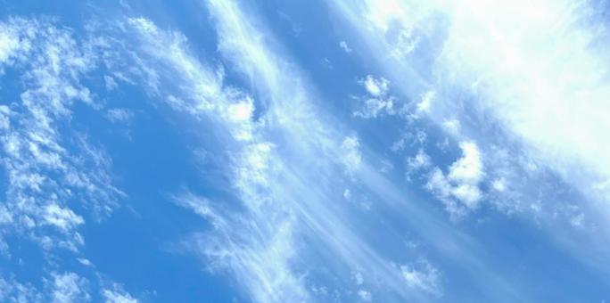 空を見上げる 空を見上げるの写真