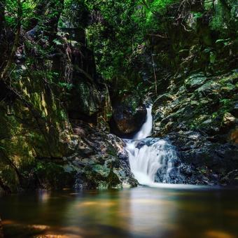 六甲山の秘境 六甲山の秘境の写真