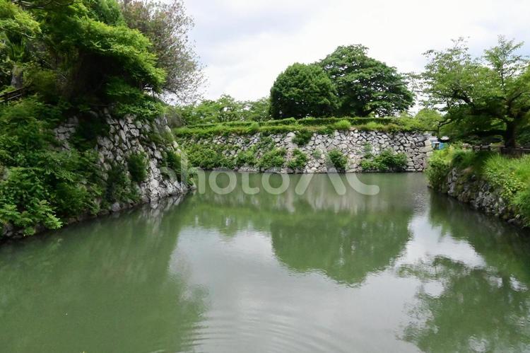 姫路城のお堀 姫路城,堀,お堀の写真素材