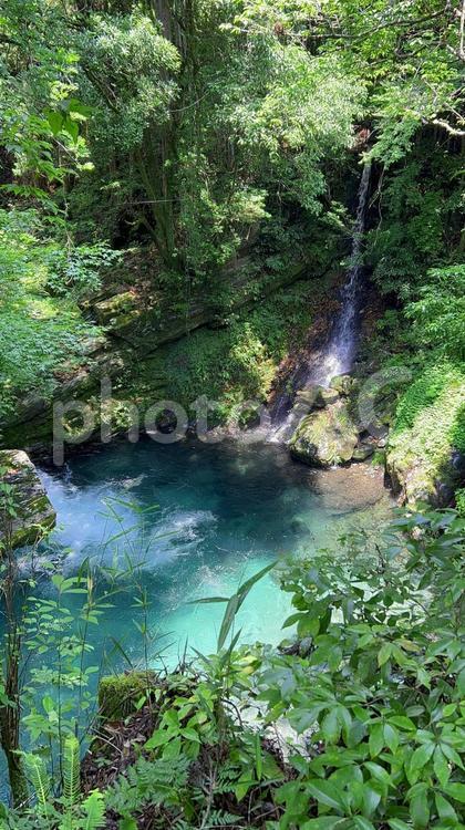 清流と小さな滝 滝,川,水の写真素材