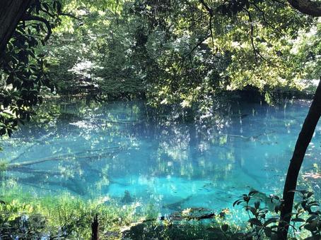 青い池 青い池の写真