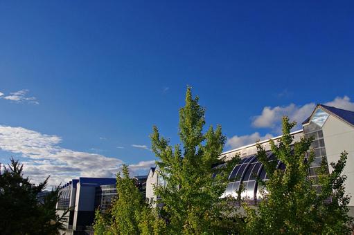 秋晴れの風景 秋晴れ,青空,白雲の写真素材