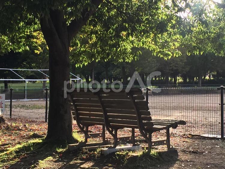 朝の公園　朝日のさすベンチ 公園,ベンチ,あさひの写真素材