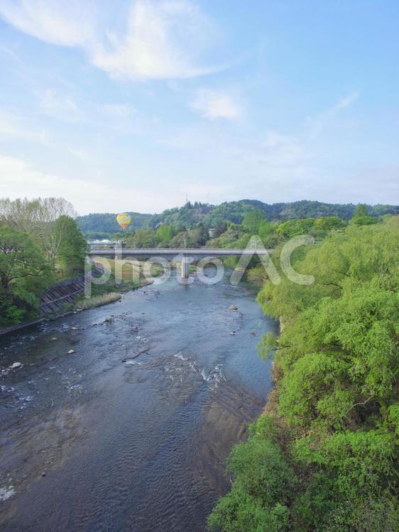 流域の森林 森林,流域,河川の写真素材