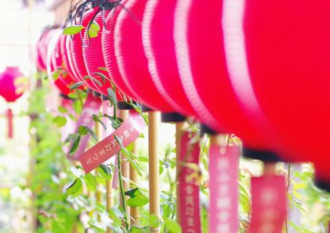 奈良 おふさ観音 奈良 おふさ観音 奈良,おふさ観音,風鈴寺の写真素材