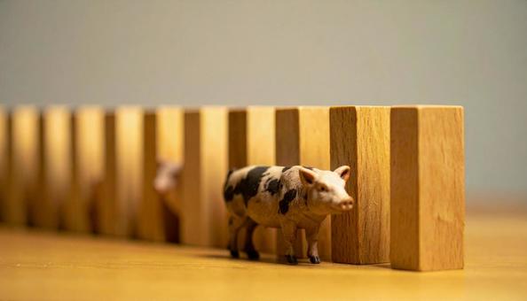 豚のイメージ 畜産 養豚 豚 豚のイメージ 畜産 養豚 豚の写真