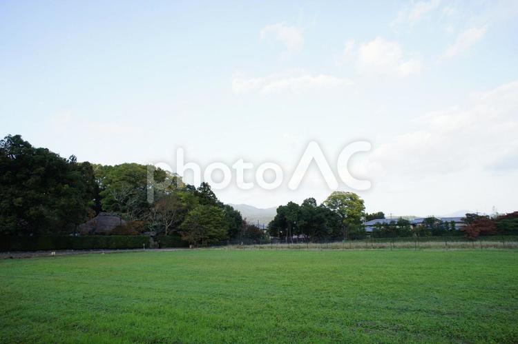 田園風景 田んぼ,自然,緑の写真素材