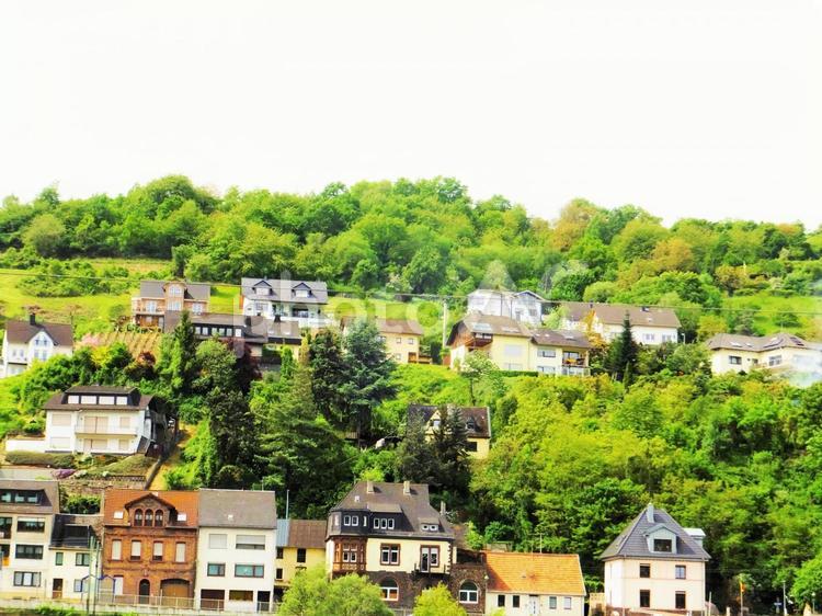 ライン川の風景　５月 ドイツ,ライン川,ライン川の風景の写真素材