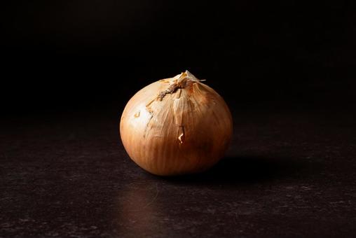 タマネギ タマネギの写真