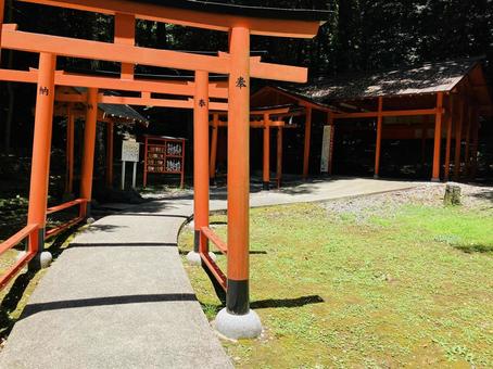 Photo, kashihara shrine, kashihara city, nara prefecture, a shrine, 