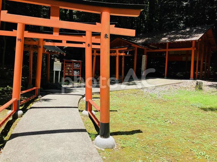橿原神宮　長山稲荷社 橿原神宮,かしはら神宮,奈良県橿原市の写真素材