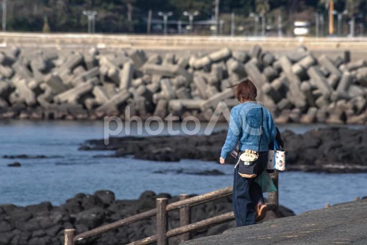 ※＜素材＞秋の海辺を散策する女性の後ろ姿 女性,笑顔,散歩の写真素材