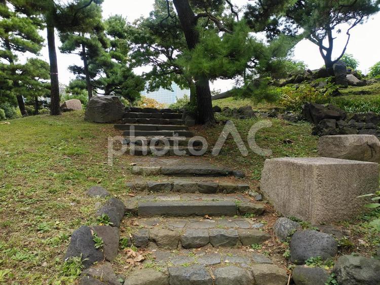 公園の階段 階段,公園,通路の写真素材