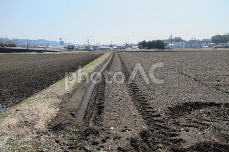 畑にまっすぐ付けられたトラクターの跡 田畑,畑,土の写真素材