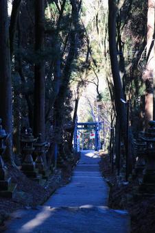 熊本県高森町 上色見熊野座神社 熊本県高森町 上色見熊野座神社 上色見熊野座神社,神社,参拝の写真素材