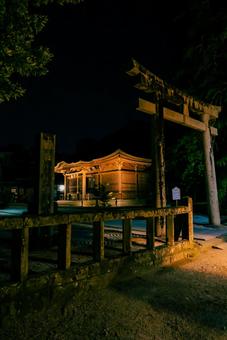 【島根】松江神社の夜景 松江,島根,松江城の写真素材