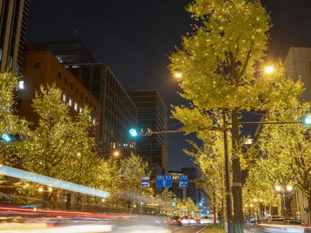 光きらめく御堂筋の夜 光きらめく御堂筋の夜 御堂筋,大阪,夜景の写真素材