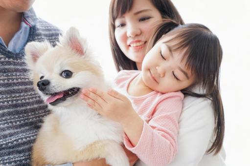 犬を飼う幸せなファミリー 犬を飼う幸せなファミリー 動物愛護,日常,ドッグの写真素材