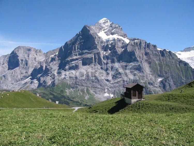 スイスのアルプス山脈の風景 スイス,アルプス,switzerlandの写真素材