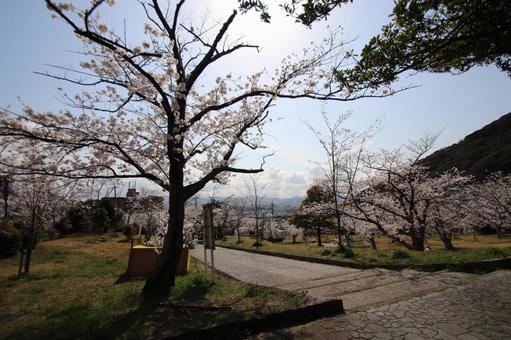 安部山公園 安部山公園の写真