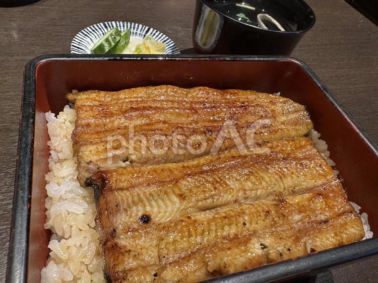 うな重 うな重,うなぎ,鰻重の写真素材