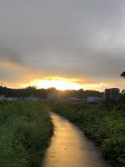 朝焼けの道 朝焼けの道の写真