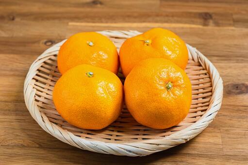 みかん みかん,温州みかん,柑橘の写真素材