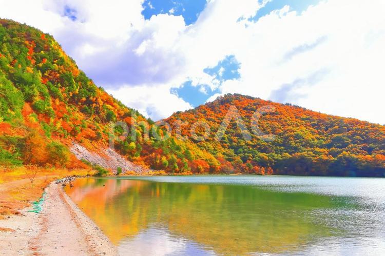 鮮やかな紅葉とエメラルドグリーンの潟沼 水,湖沼,沼の写真素材