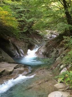 水の道、緑の祈り 水の道、緑の祈りの写真