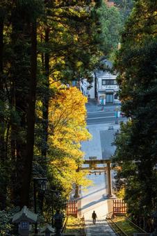 塩釜神社の秋景色⑹ 秋,紅葉,塩釜神社の写真素材