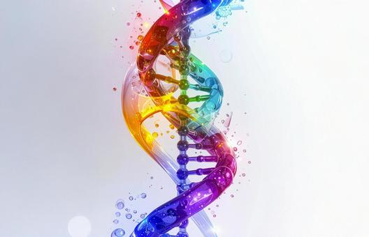 DNA分子構造イメージ図 DNA分子構造イメージ図の写真