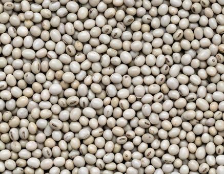 淡灰色豆の密集模様 淡灰色豆の密集模様の写真
