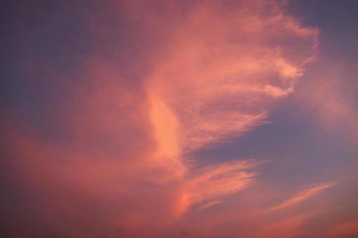 9月上旬の高松市の朝焼け空 9月上旬の高松市の朝焼け空の写真