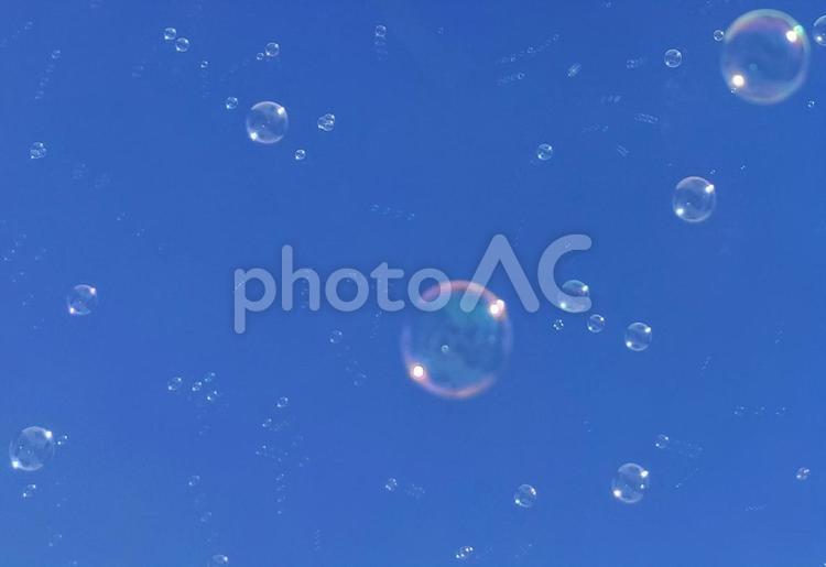 シャボン玉が舞い上がる青空 しゃぼん玉,空,晴れの写真素材