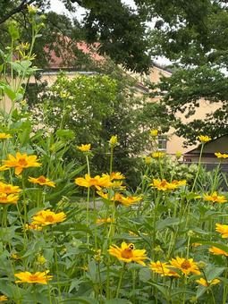 ベルナンディン庭園 ベルナンディン庭園,ビリニョス,リトアニアの写真素材