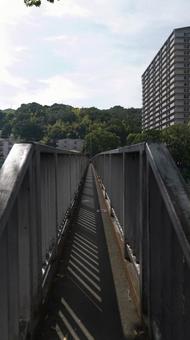 細い橋 橋,細い,長いの写真素材