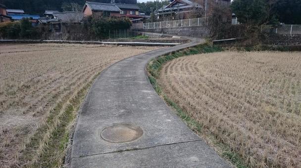 田んぼのあぜ道 田んぼのあぜ道の写真