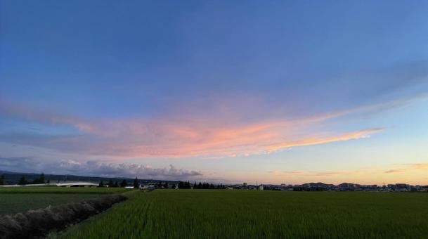 夕焼け 夕焼けの写真