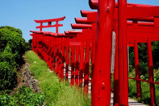山口県元乃隅神社 山口県元乃隅神社の写真