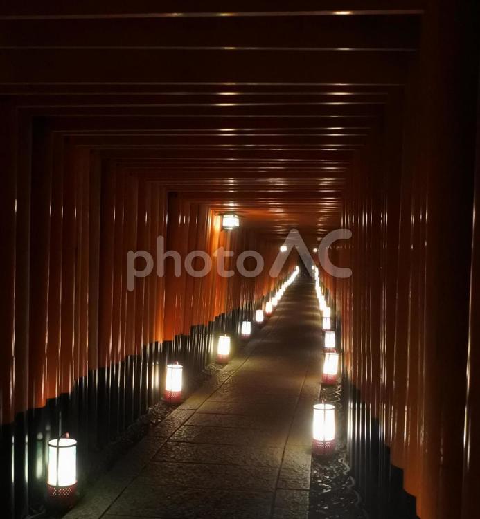 京都伏見稲荷大社　千本灯籠⑤ 京都,キョウト,伏見の写真素材