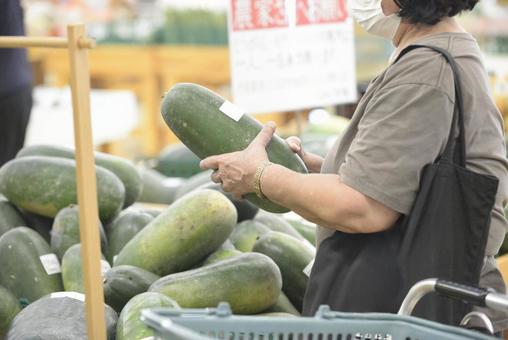 冬瓜 冬瓜 農産物,イメージ,素材の写真素材