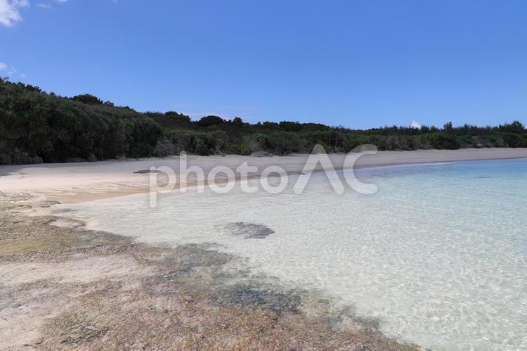 青い空と綺麗な海の風景 夏,波打ち際,海水浴場の写真素材