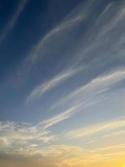 空 空の写真