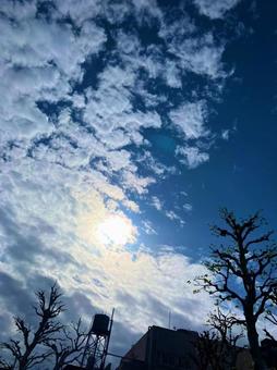 綺麗な景色 綺麗な景色の写真